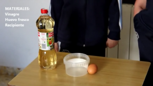 Materiales experimento huevo saltarin